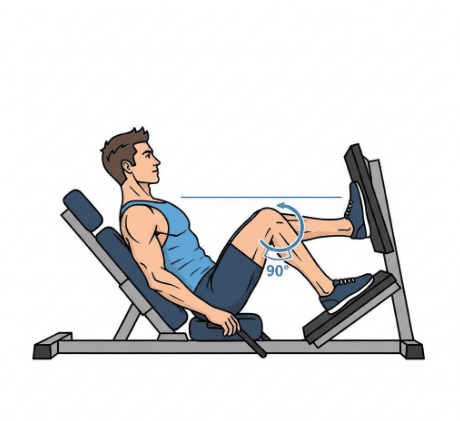 Illustration showing the correct 90-degree knee angle and straight back form for a safe leg press.
